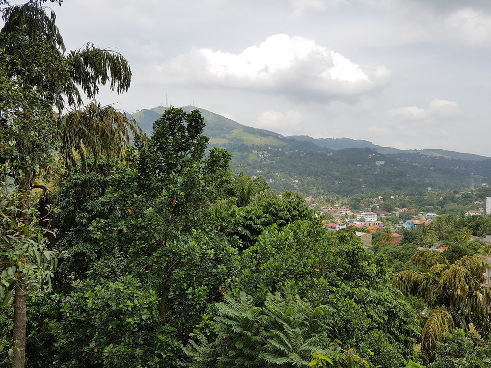 Villa 107 Kandy Esterno foto